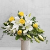 Blanco / Amarillo