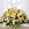 Blanco / Amarillo